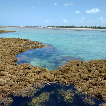Res Mário Melo Porto de Galinhas-2